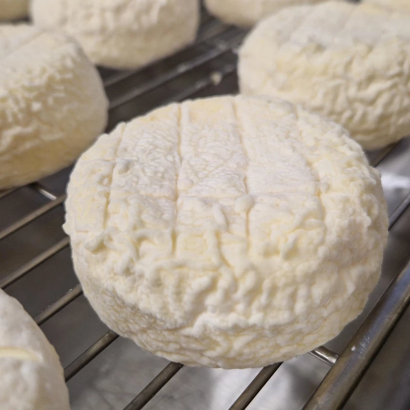 Le Ty Zef, fromage 100% brestois - La Laiterie Brestoise